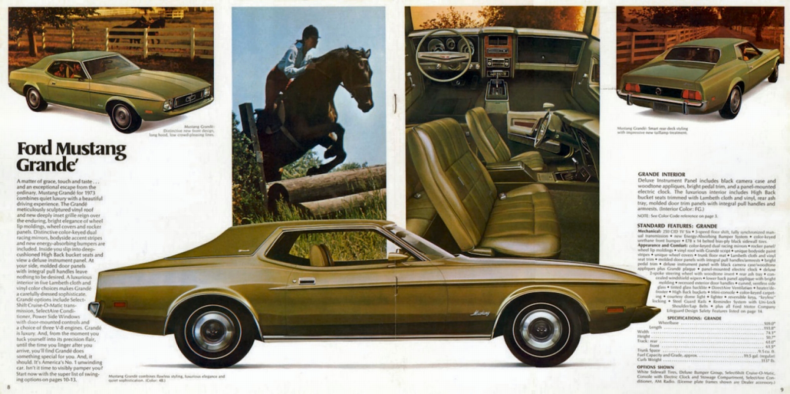 n_1973 Ford Mustang-08-09.jpg
